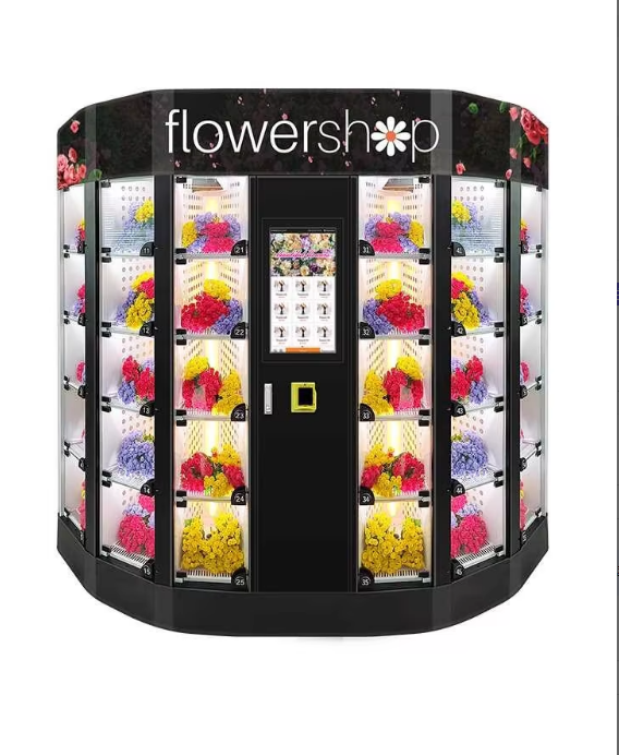 Distributore Automatico di Fio - Vending Machine Qr Code recensione e prezzo